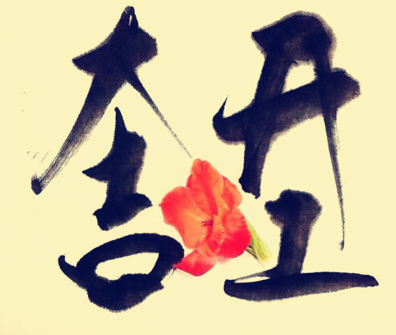 駿業(yè)包裝開工大吉！